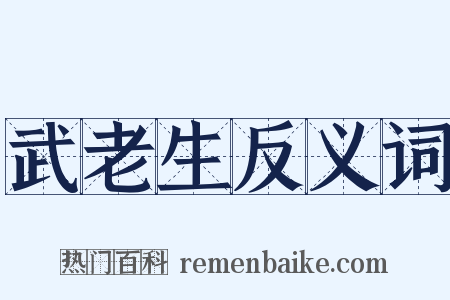 武老生反义词是什么意思的图片